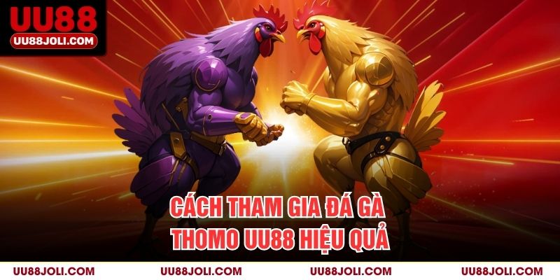 Cách tham gia đá gà thomo uu88 hiệu quả