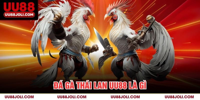 Đá Gà Thái Lan UU88 Là Gì?
