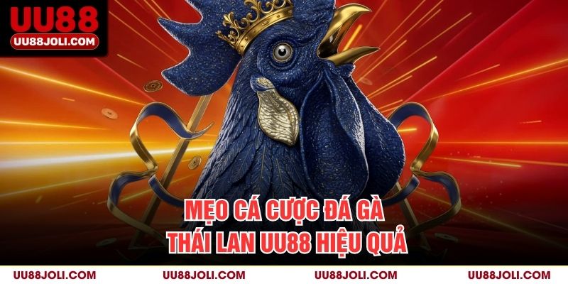 Mẹo Cá Cược Đá Gà Thái Lan UU88 Hiệu Quả